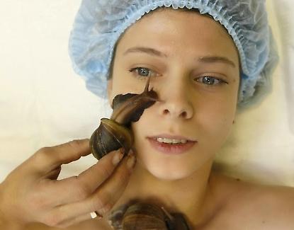 snail