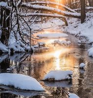 LMA Clinic Blog Posts